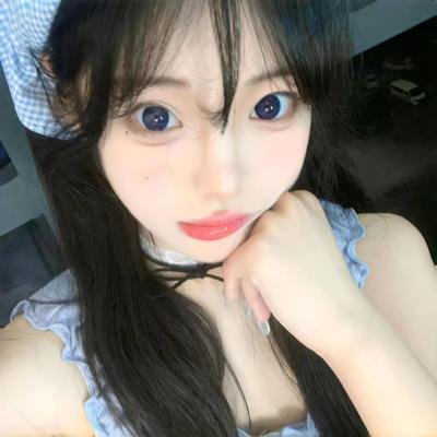 金陵御猫